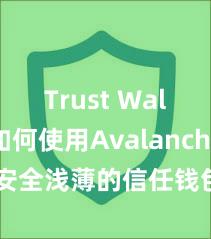 Trust Wallet如何使用Avalanche 安全浅薄的信任钱包措置神色