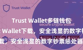 Trust Wallet多链钱包 安卓版Trust Wallet下载，安全浅显的数字钞票惩处器用!